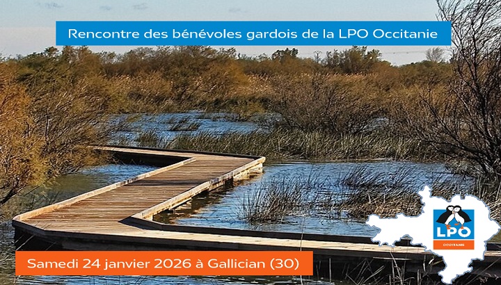 Rencontre des bénévoles gardois de la LPO Occitanie